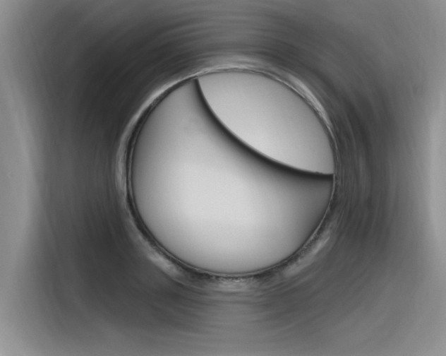 X0000116380843200912020944