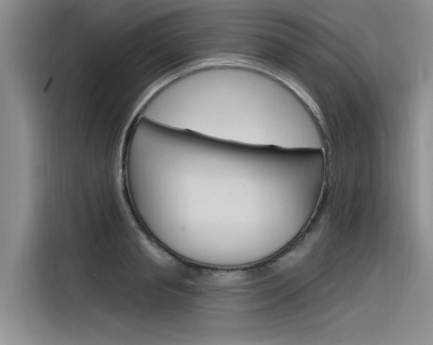 X0000116380845200912020944