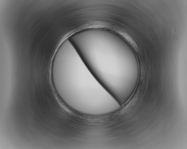 X0000116380850200912020944
