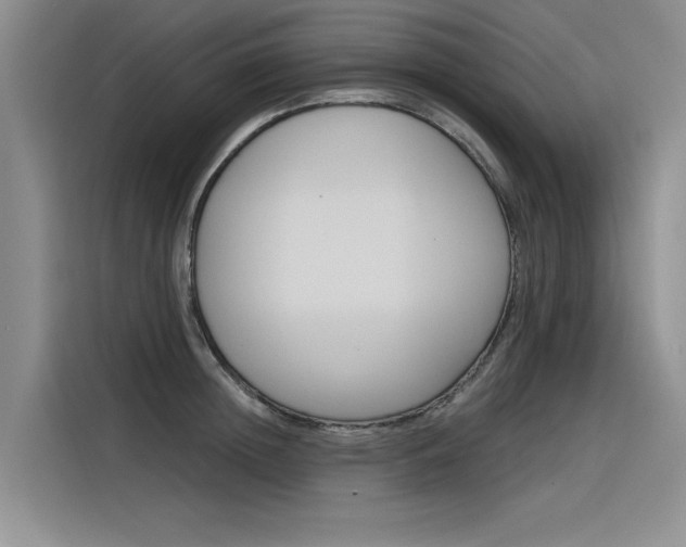 X0000116380852200912020944
