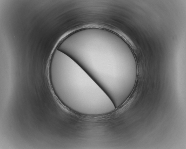 X0000116380854200912020944