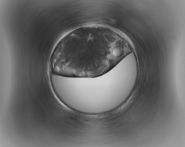 X0000116380855200912020944