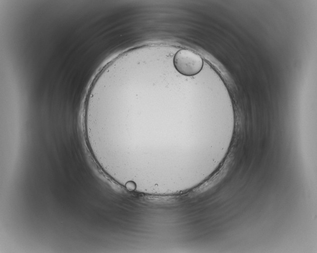 X0000116380856200912020944