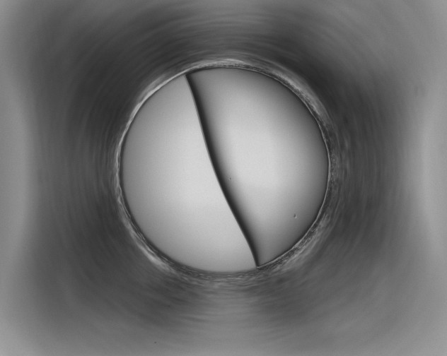 X0000116380858200912020944