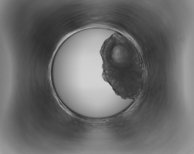 X0000116380862200912020944