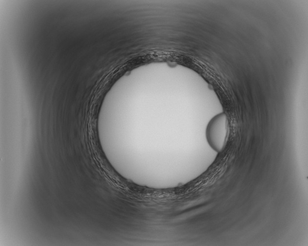 X0000116380865200912020944