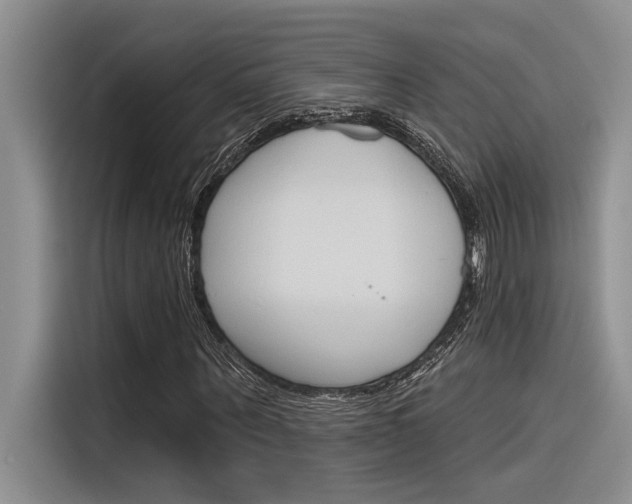 X0000116380867200912020944