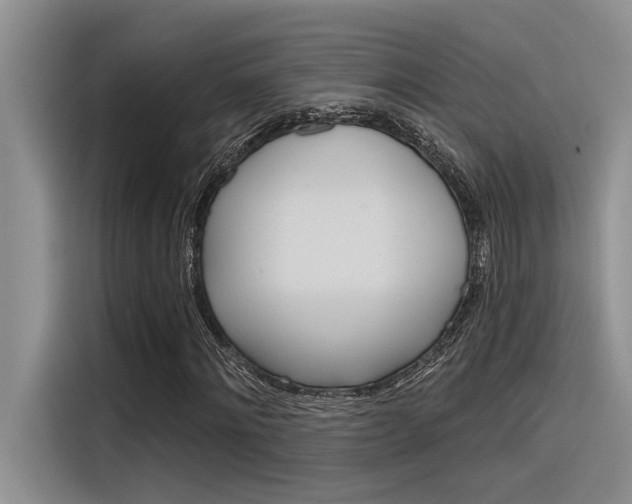 X0000116380868200912020944