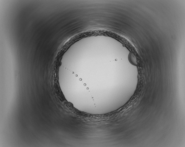 X0000116380871200912020944