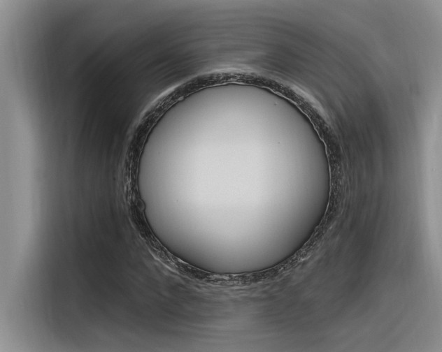 X0000116380872200912020944