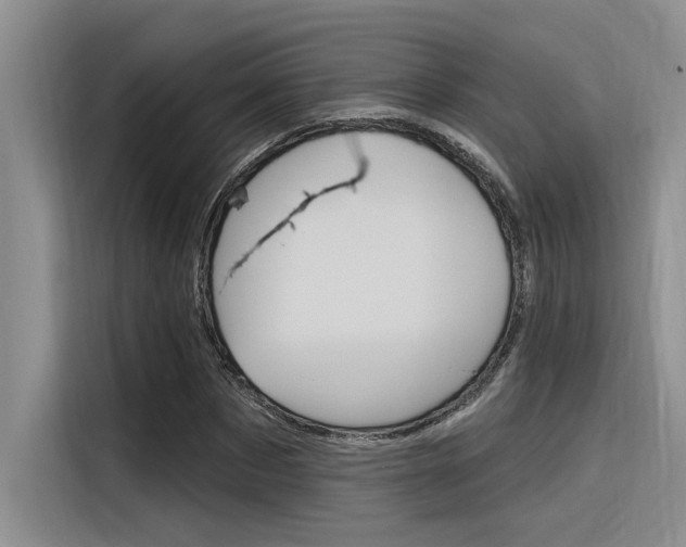X0000116380873200912020944