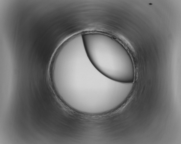 X0000116380876200912020944