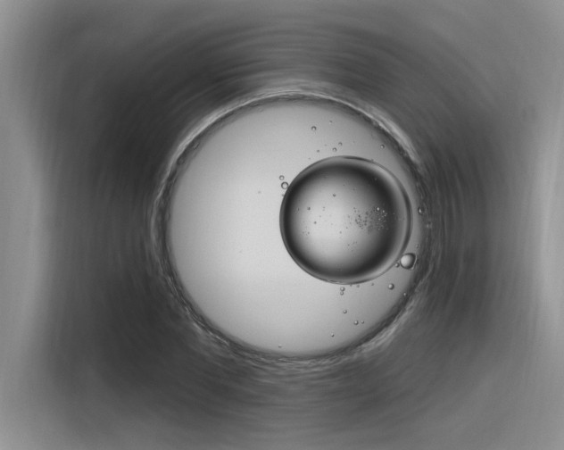 X0000116380877200912020944