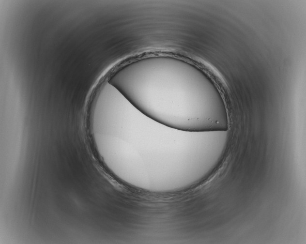 X0000116380878200912020944