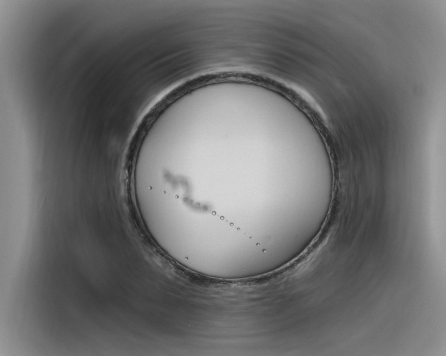 X0000116380879200912020944