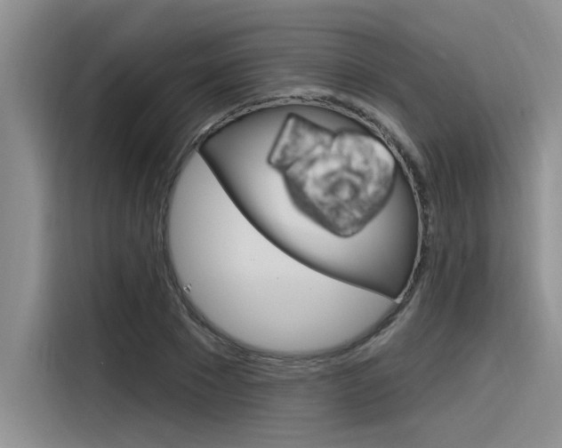 X0000116380881200912020943