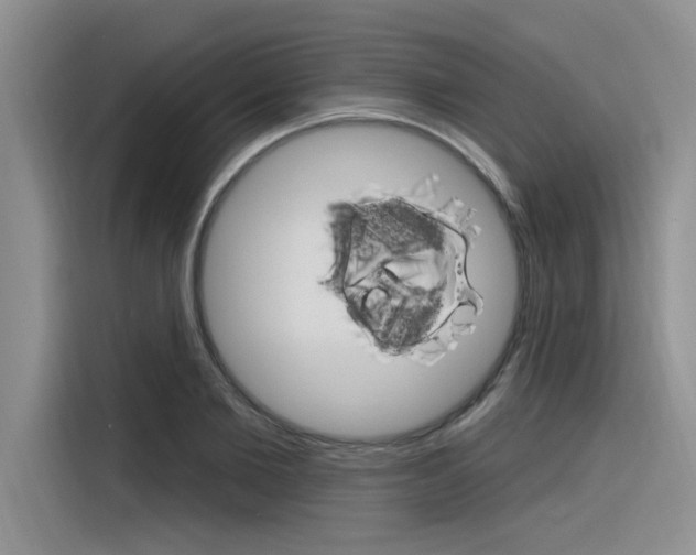 X0000116380885200912020943