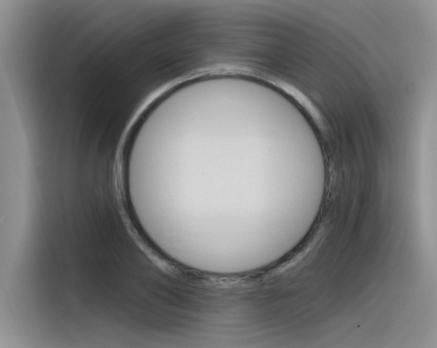 X0000116380886200912020943