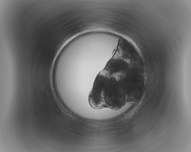 X0000116380887200912020943