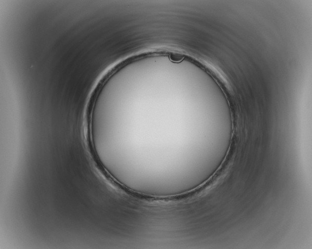 X0000116380888200912020943