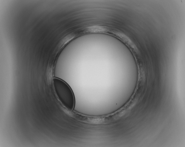 X0000116380889200912020943