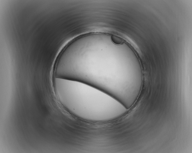 X0000116380891200912020943