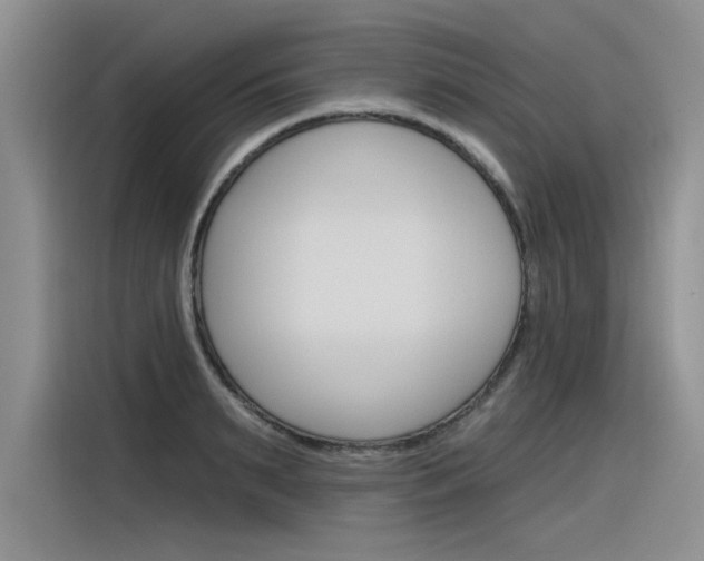 X0000116380895200912020943