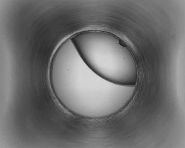 X0000116380896200912020943