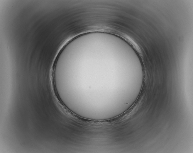 X0000116380899200912020943