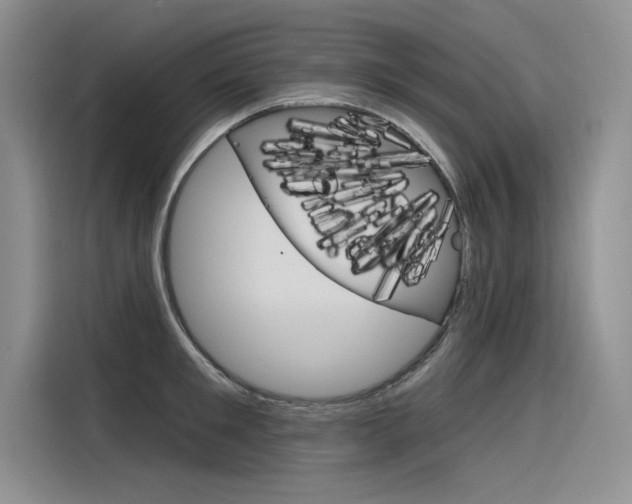 X0000116380901200912020943
