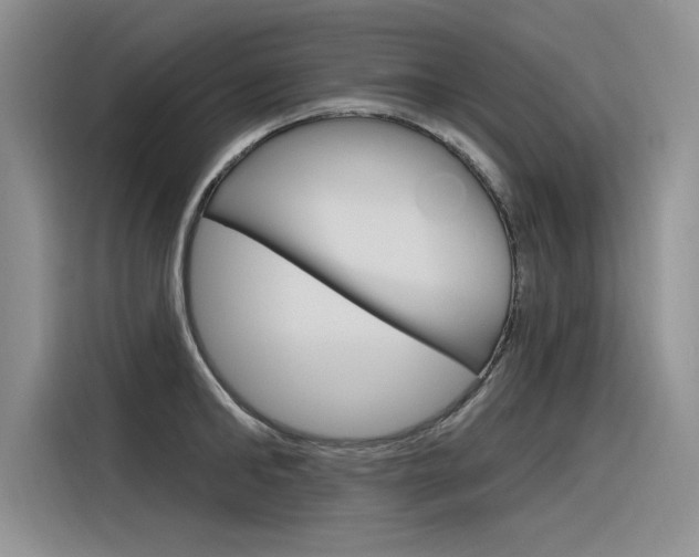 X0000116380902200912020943