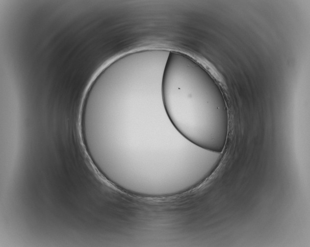 X0000116380904200912020943