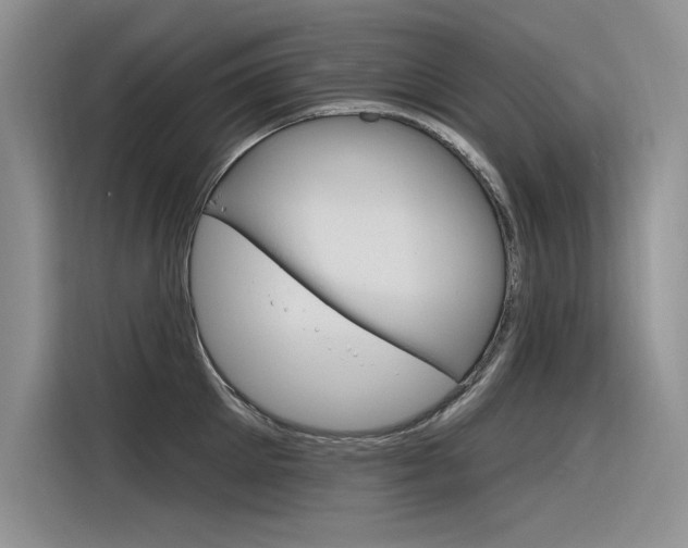 X0000116380905200912020943