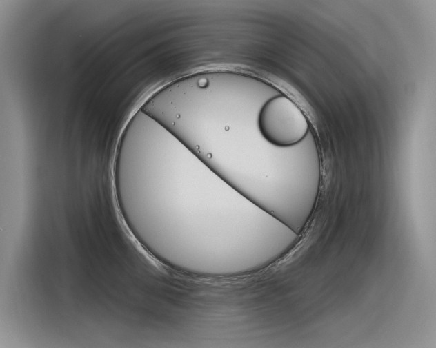 X0000116380906200912020943