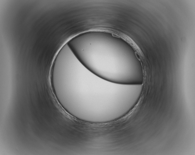 X0000116380908200912020943