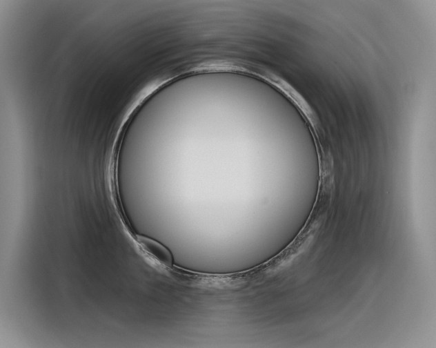 X0000116380909200912020943