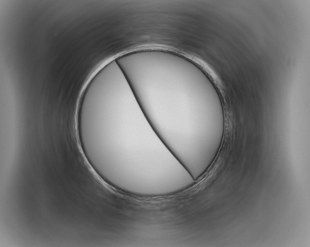 X0000116380910200912020943