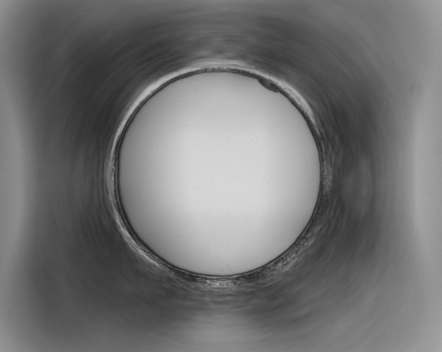 X0000116380911200912020943