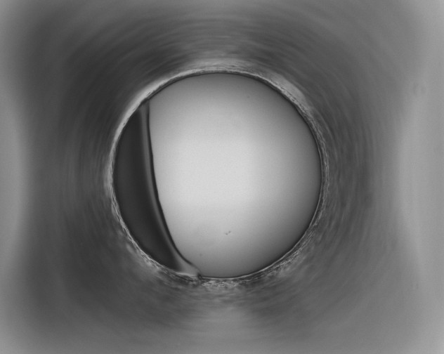 X0000116380912200912020943