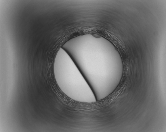 X0000116380914200912020942