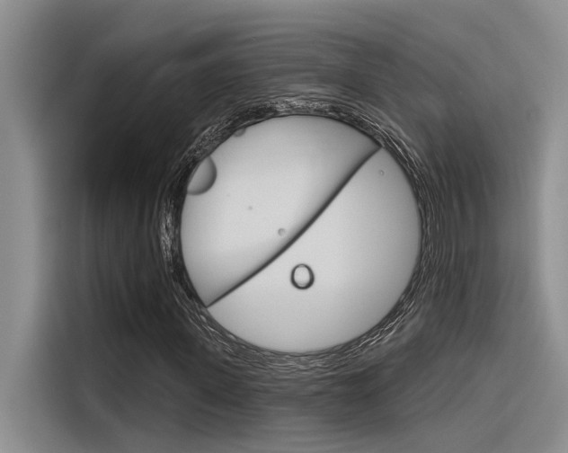 X0000116380915200912020942