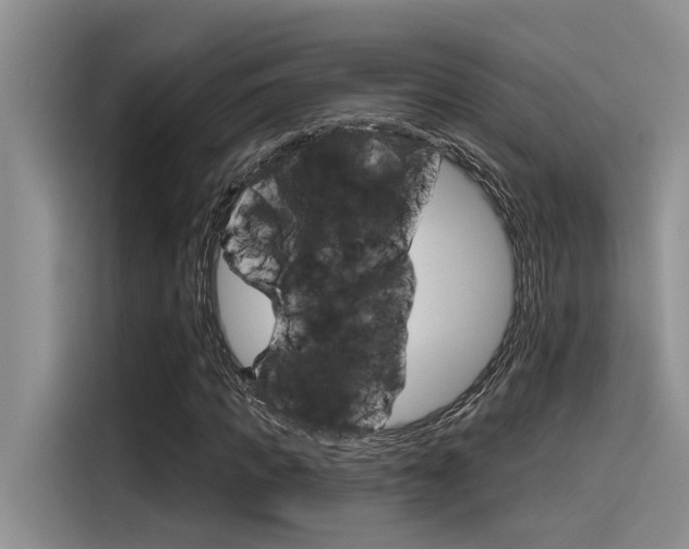 X0000116380917200912020943
