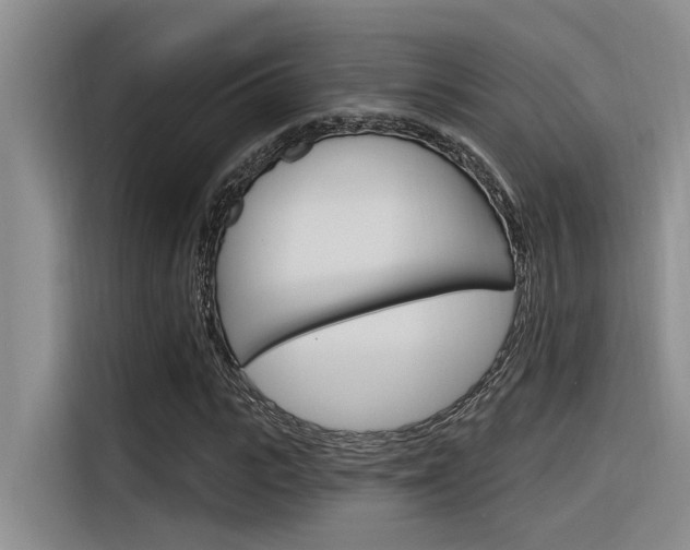 X0000116380919200912020943