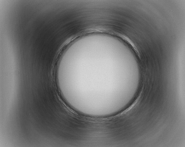 X0000116380922200912020943