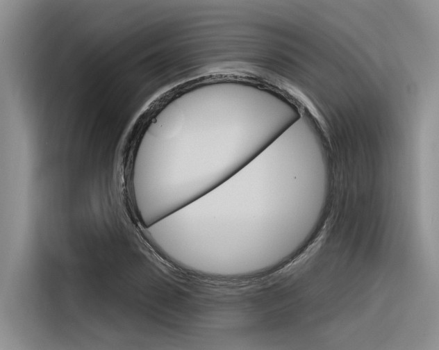 X0000116380923200912020943