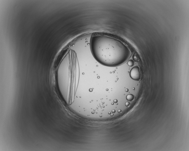 X0000116380925200912020943