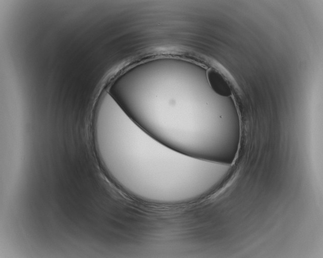 X0000116380930200912020943