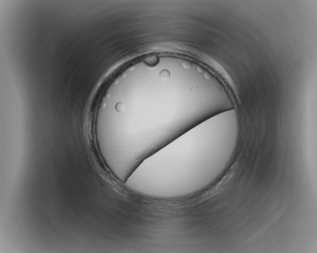X0000116380931200912020943