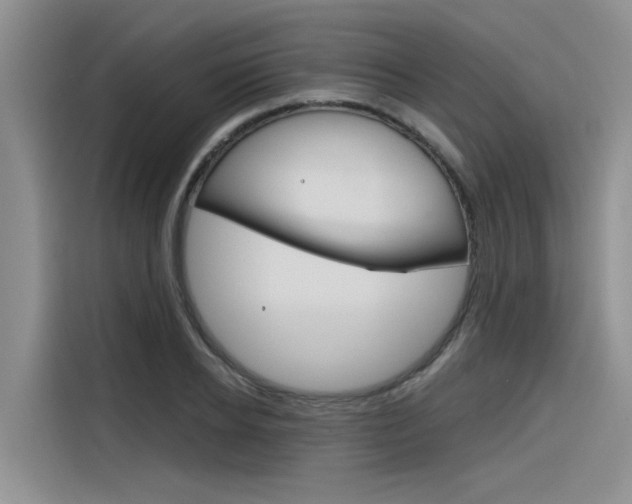 X0000116380934200912020943