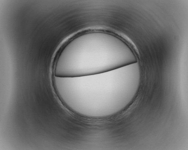 X0000116380935200912020943